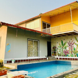 Banyan tree outdoor image